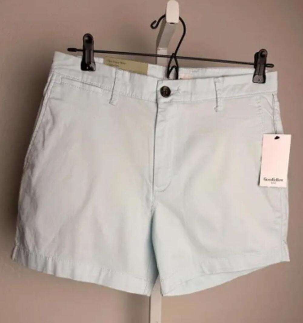 Goodfellow & Co The Every Wear Flat Front Shorts 28 Light Blue 5” Inseam NWT